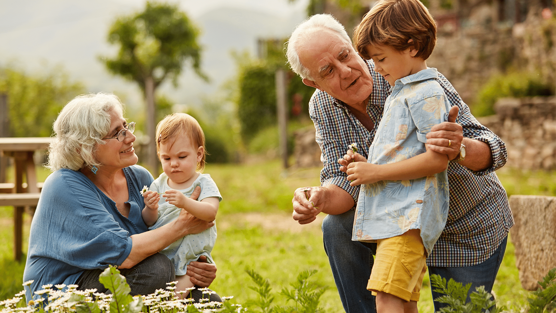 Will vs. Trust: Which Best Protects Your Wealth and Legacy?